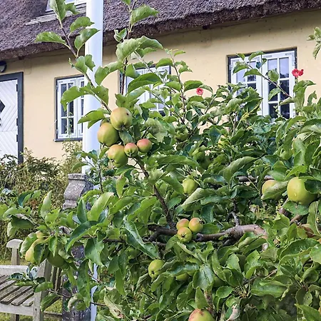 4 Star In * Humlebæk